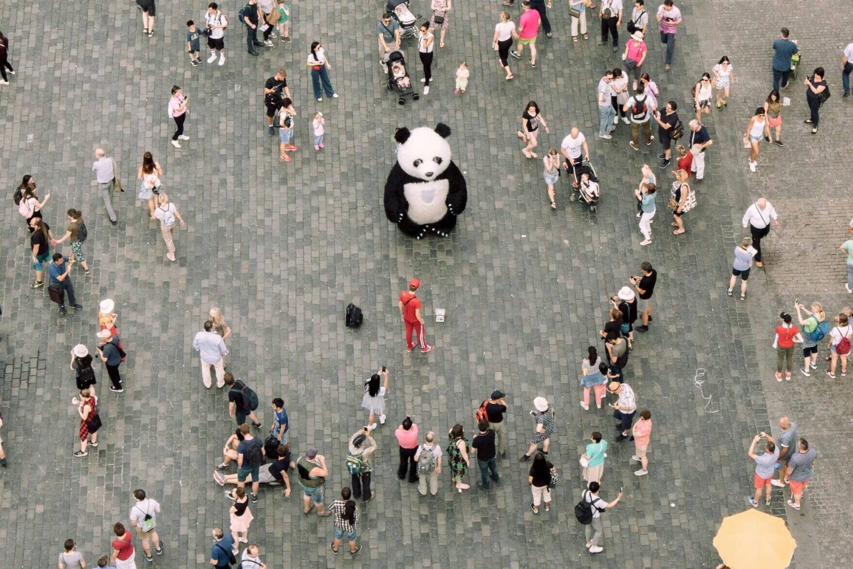 Raise awareness for nonprofit organizations