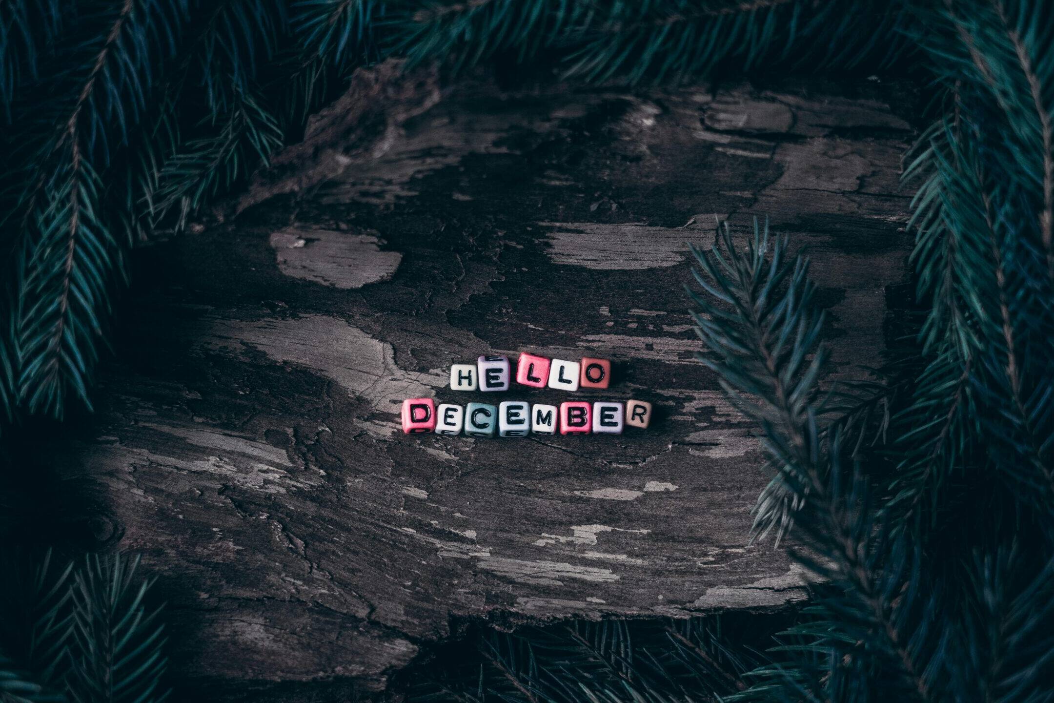 successful fundraising campaigns in December